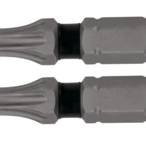 PONTA TORX 1" TX25 ENC.2 PECAS