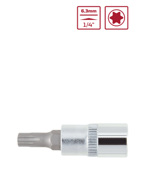 R42451206 Chave soquete 1/4 TX T15